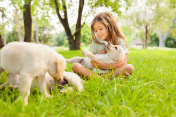 Girl Playing With Dogs创意图片素材 - E+