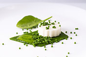 Mozzarella pudding, spinach caviar, spinach sauce and green pape创意图片素材 - 500px Core RF