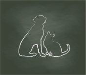 Chalkboard Cat And Dog Sitting创意图片素材 - DigitalVision Vectors