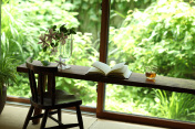 Japanese style room facing a garden创意图片素材 - Score by Aflo
