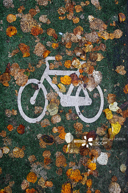 Autumn and a bicycle