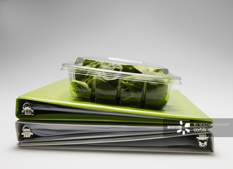 Plastic Box with Salad on Files
