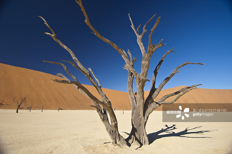 Sand Dune, Sossusvlei, Dead Vlei, Namibia