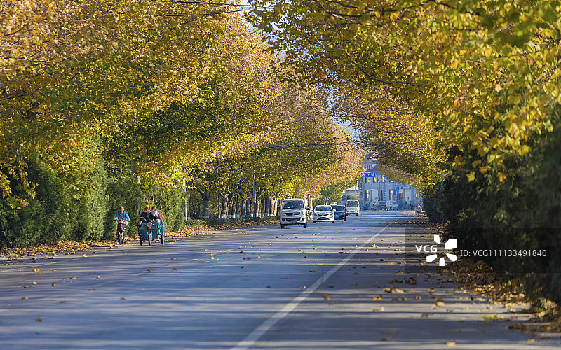 山东省青岛市:S329省道六旺段秋色美如画