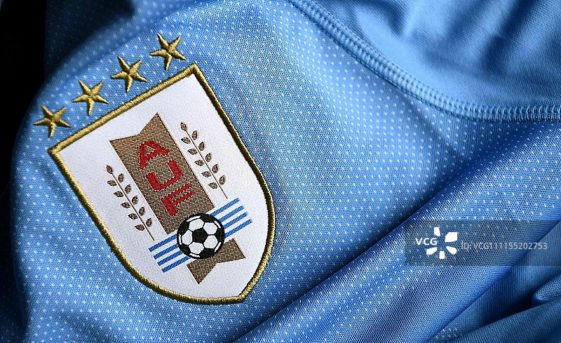 2018俄罗斯世界杯:国家队球衣队徽一览 塞内加