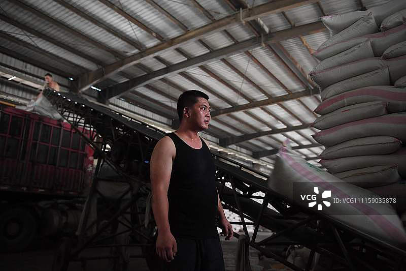 河北:受中美经贸摩擦影响 粮油工厂改用巴西进