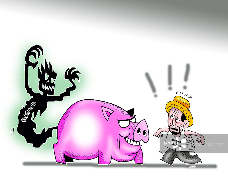 漫画:黑龙江调往河南郑州的生猪确诊发生非洲猪瘟