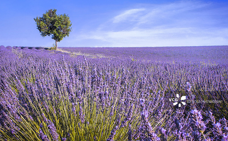 世界杯四强国家深度游 发现4国独有的最欧洲