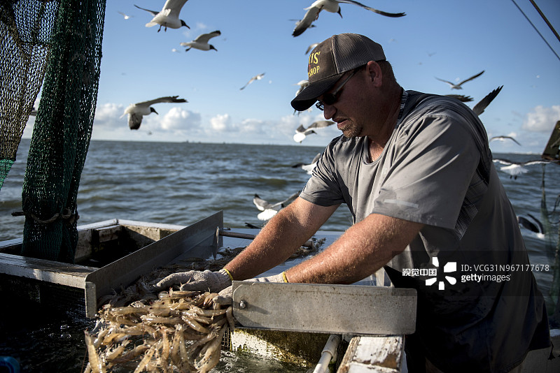 中国市场关税下调 美国渔民海上捕虾应对需求