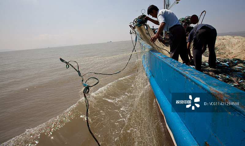 图片故事:传统渔业资源衰退 450张网捕上11条鮸鱼
