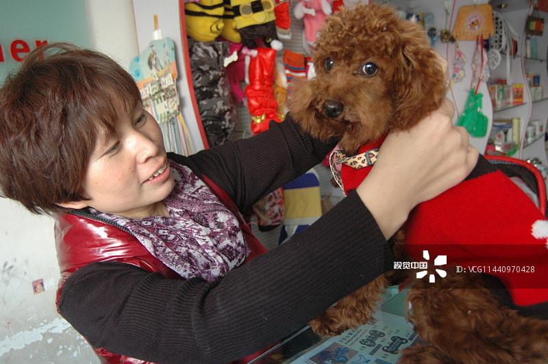 山东聊城:大学生夫妇创业开办宠物医院 硬件设