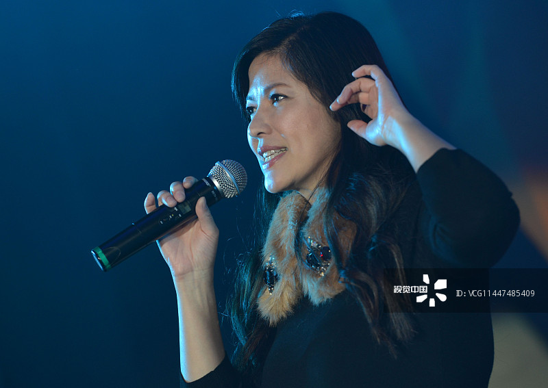 陈明真、游鸿明阜阳跨年献唱 奉献经典歌曲场