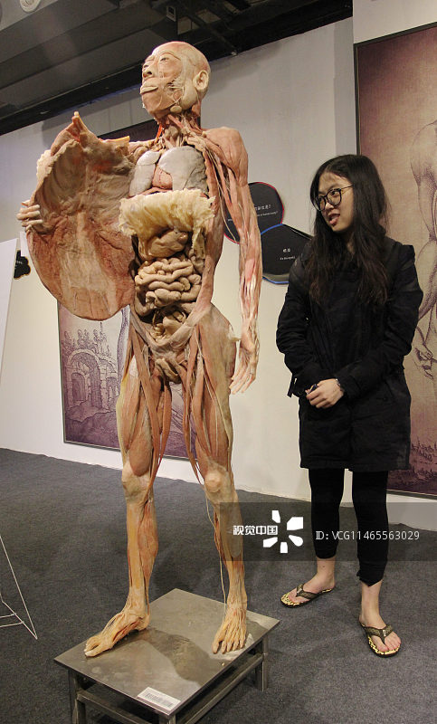 武汉展出数百件人体标本 全部来自真实人体