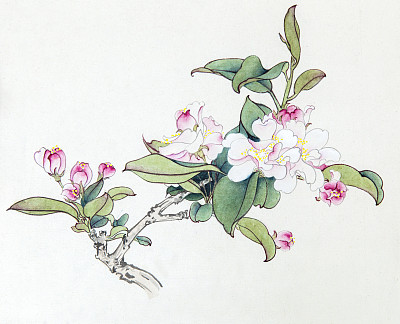 年度感人文章——《韭菜》