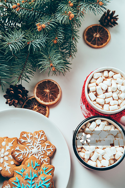 hot chocolate with marshmallows, cookies and pine tree branches