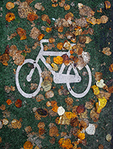 Autumn and a bicycle 500px图片素材