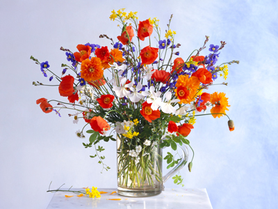 Mixed Orange Poppies in Simple Garden Bouqet in Glass Jug gettyimages圖片素材
